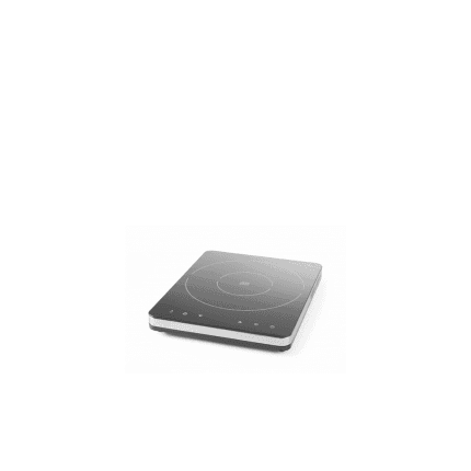 plita inductie profesionala cu display digital si carcasa inox